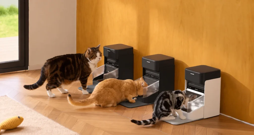 Tres gatos comiendo en sus comederos en casa