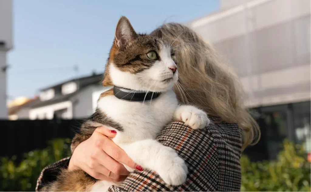 Persona sosteniendo un gato con collar GPS al aire libre