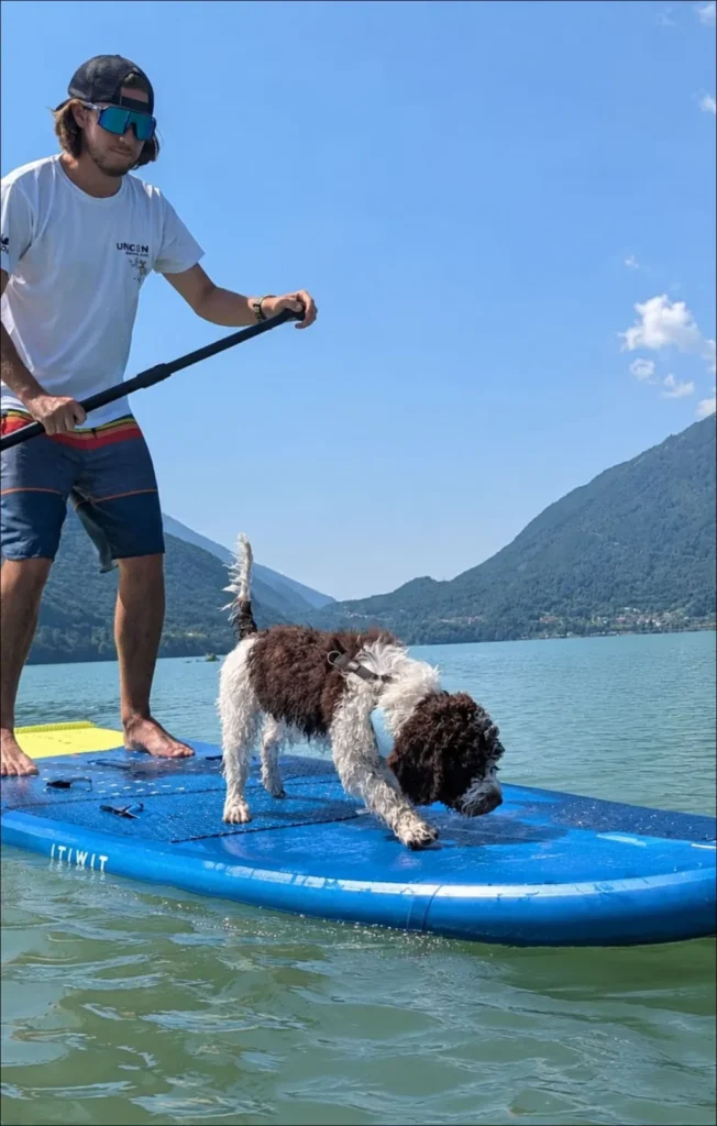 Persona paseando con su perro en una tabla de paddle surf