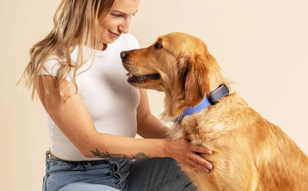 Persona acariciando a su perro con collar GPS