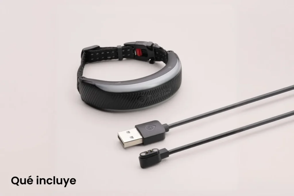 Tractive CAT 6 Mini